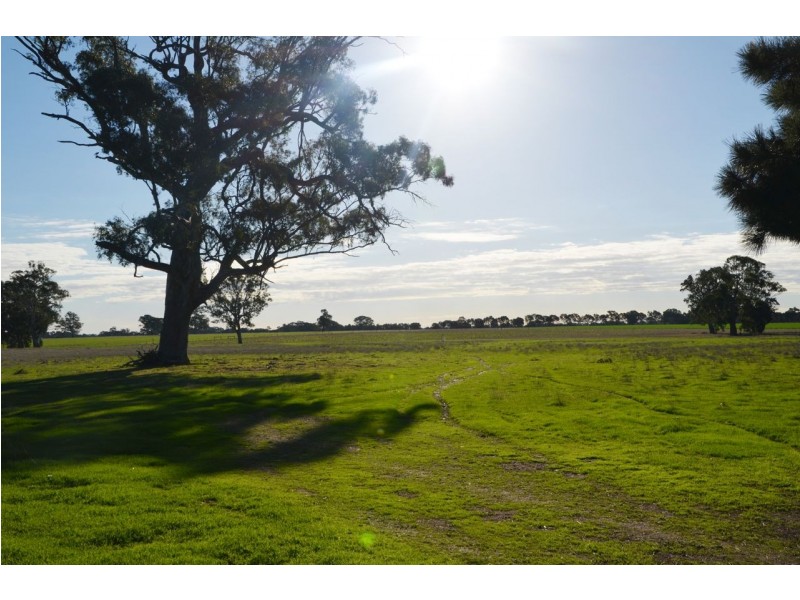 759 Jessie Road, Naracoorte SA 5271