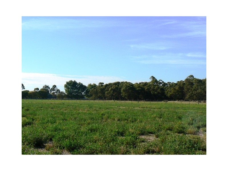 Penola SA 5277