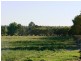 Penola SA 5277