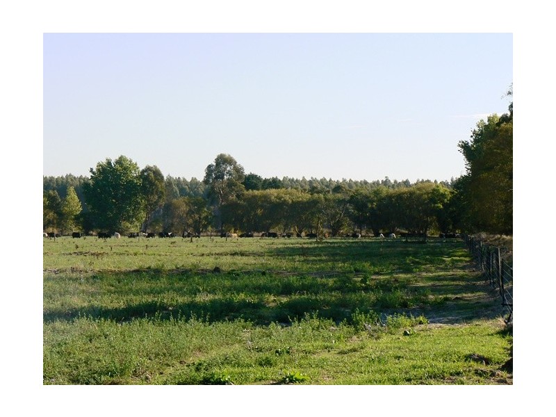 Penola SA 5277