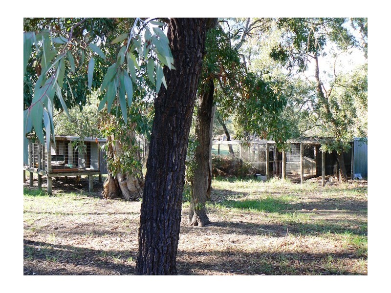 Penola SA 5277