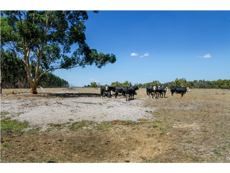 776 Manga Road, Penola SA 5277