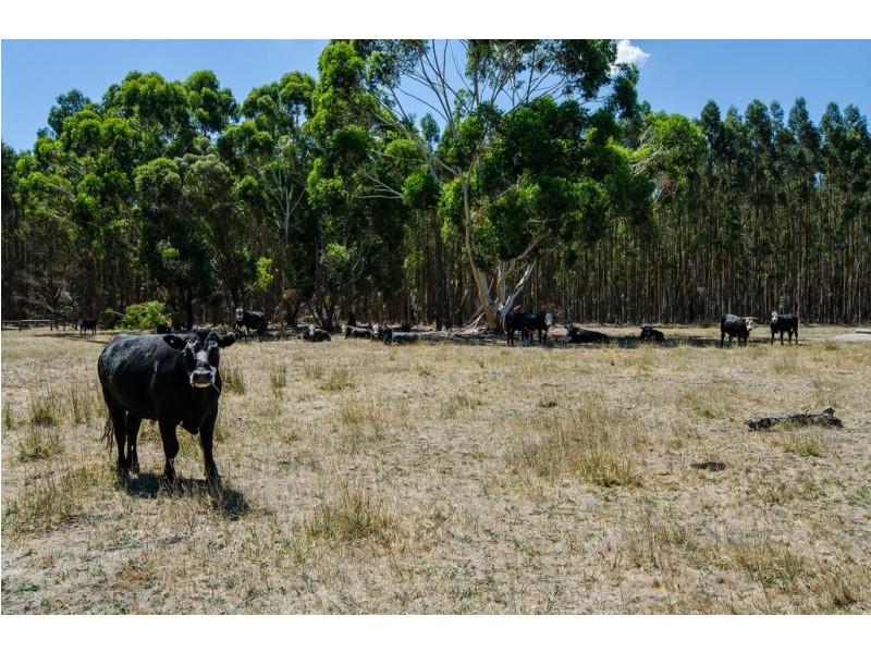 776 Manga Road, Penola SA 5277