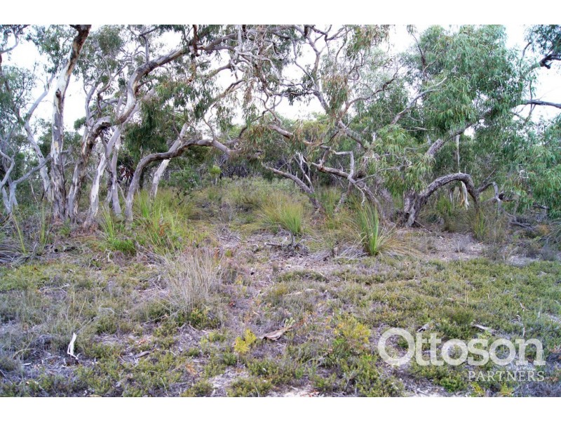 Lot 636 Thomas Road, Avenue Range SA 5273