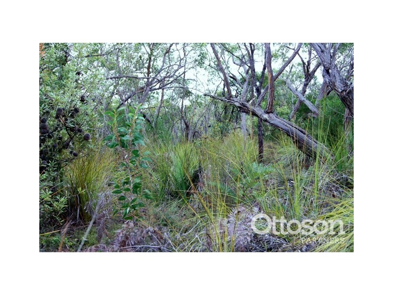 Lot 636 Thomas Road, Avenue Range SA 5273