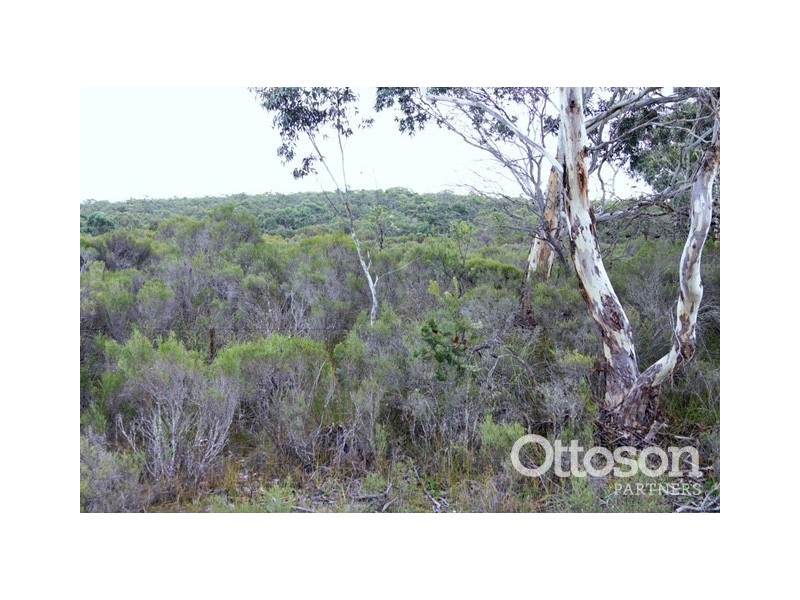 Lot 636 Thomas Road, Avenue Range SA 5273
