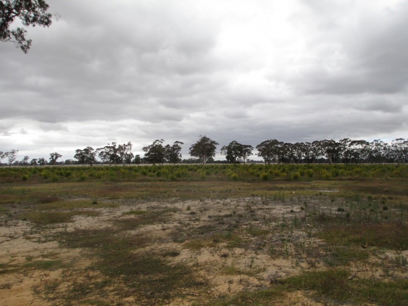 1760 Cadgee Road, Naracoorte SA 5271