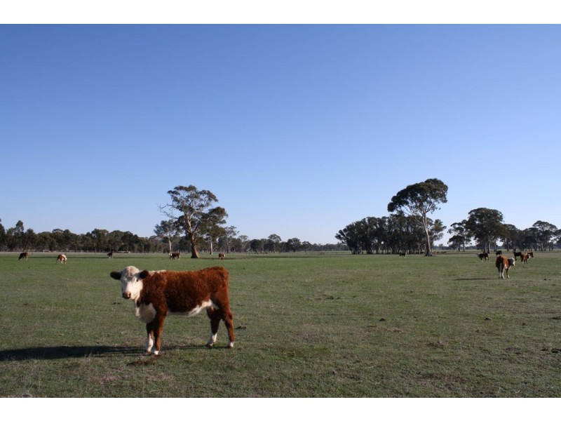 111 Carters Road, Naracoorte SA 5271