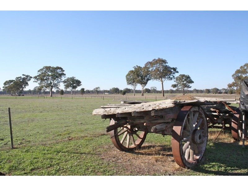 111 Carters Road, Naracoorte SA 5271