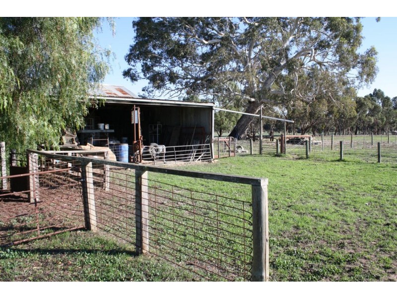 111 Carters Road, Naracoorte SA 5271
