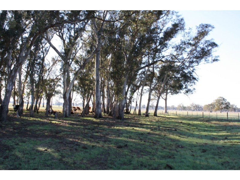 111 Carters Road, Naracoorte SA 5271