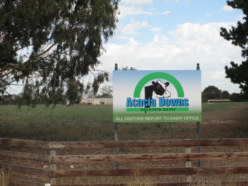 Acacia Downs Cadgee, Naracoorte SA 5271