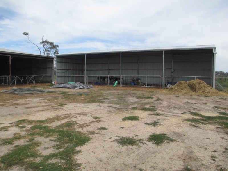 Acacia Downs Cadgee, Naracoorte SA 5271
