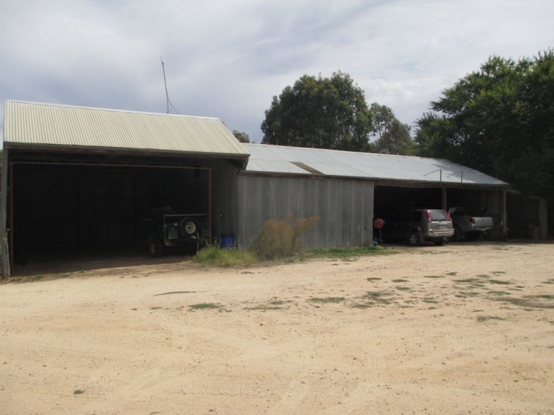 Acacia Downs Cadgee, Naracoorte SA 5271