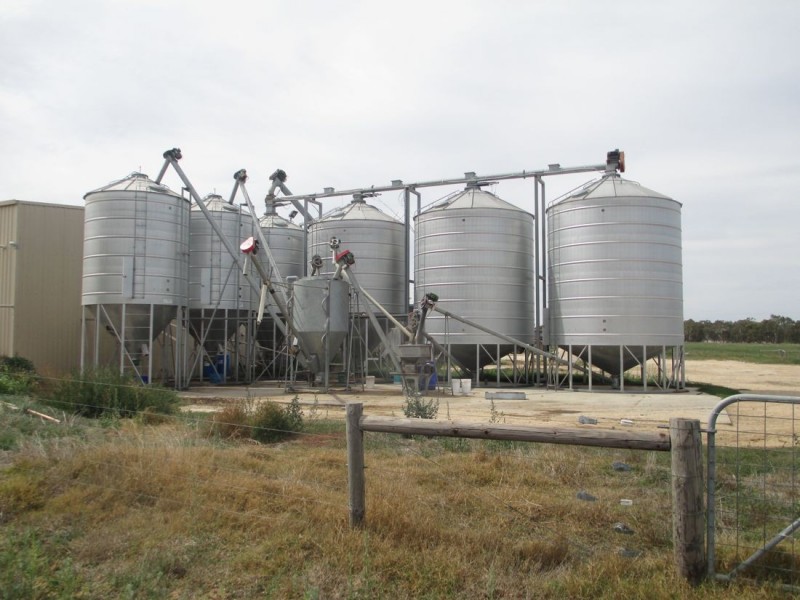 Acacia Downs Cadgee, Naracoorte SA 5271