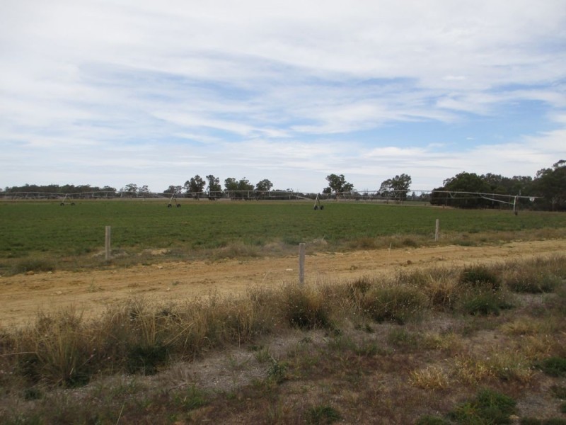 Acacia Downs Cadgee, Naracoorte SA 5271