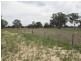 Acacia Downs Cadgee, Naracoorte SA 5271