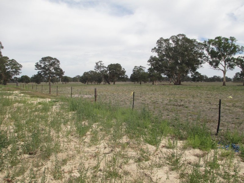Acacia Downs Cadgee, Naracoorte SA 5271