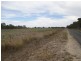 Acacia Downs Cadgee, Naracoorte SA 5271