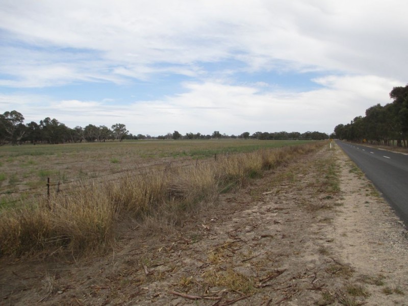 Acacia Downs Cadgee, Naracoorte SA 5271