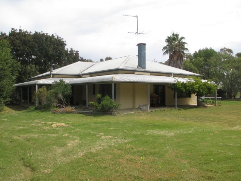 Acacia Downs Cadgee, Naracoorte SA 5271