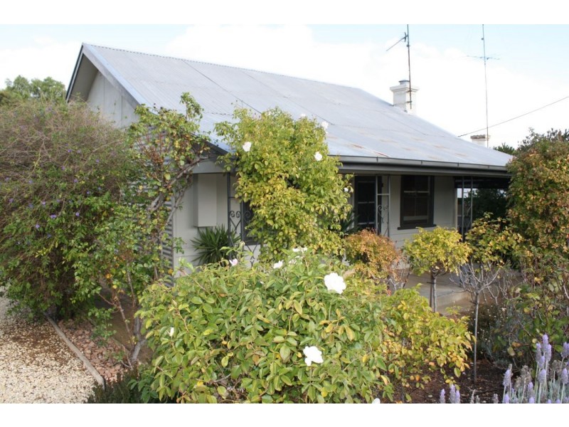 22 Freeling Street, Naracoorte SA 5271