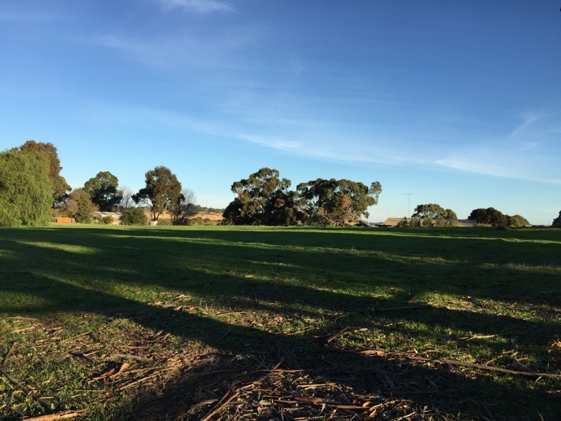 Lot 2 Wilkins Road, Naracoorte SA 5271