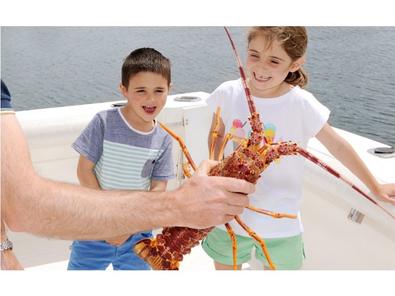 Lot 514 One and All Drive, Cape Jaffa SA 5275