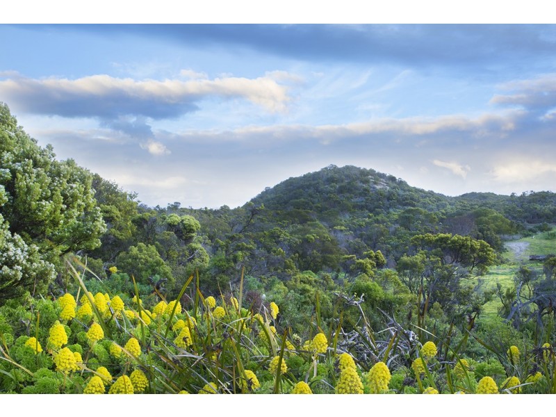 31 Cape Buffon Drive, Southend SA 5280