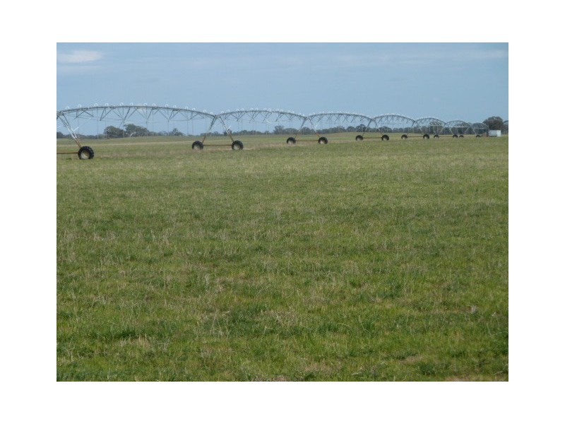 Darringa 659 Cadell Road, Bangham SA 5268