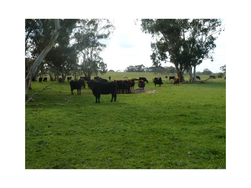 Darringa 659 Cadell Road, Bangham SA 5268