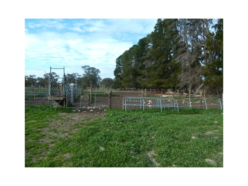 Darringa 659 Cadell Road, Bangham SA 5268