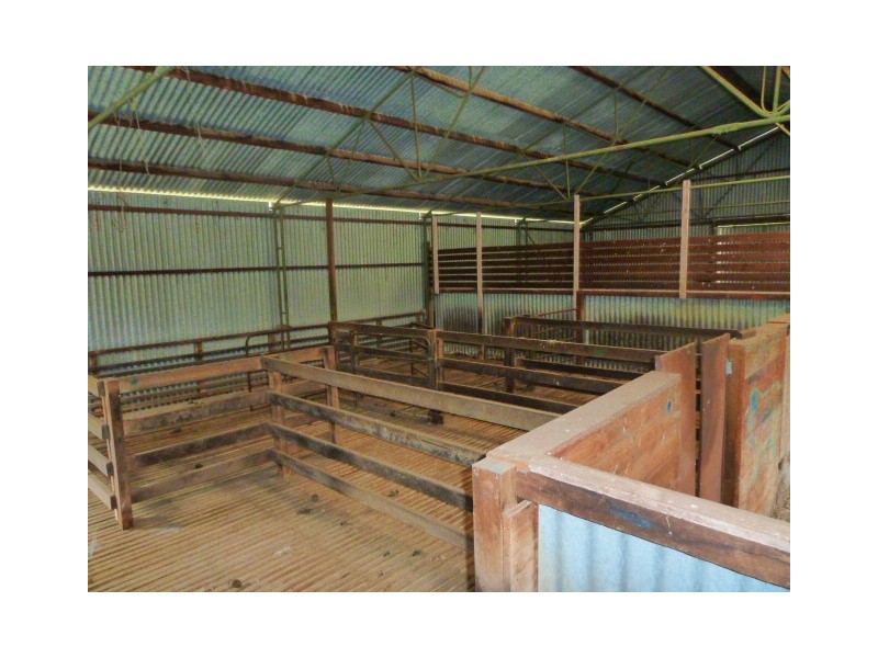 Darringa 659 Cadell Road, Bangham SA 5268