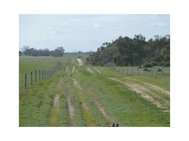 Darringa 659 Cadell Road, Bangham SA 5268