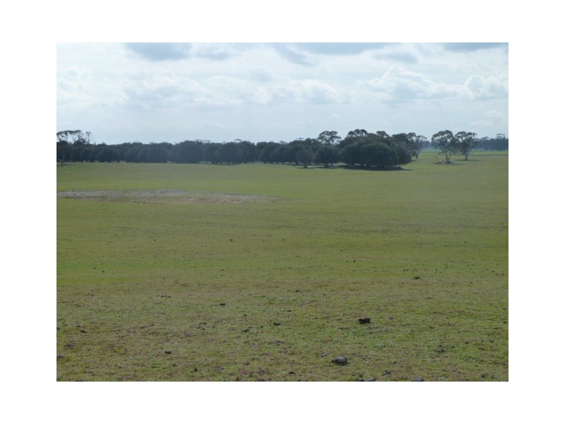 Darringa 659 Cadell Road, Bangham SA 5268