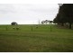 793 Lucindale Road, Naracoorte SA 5271