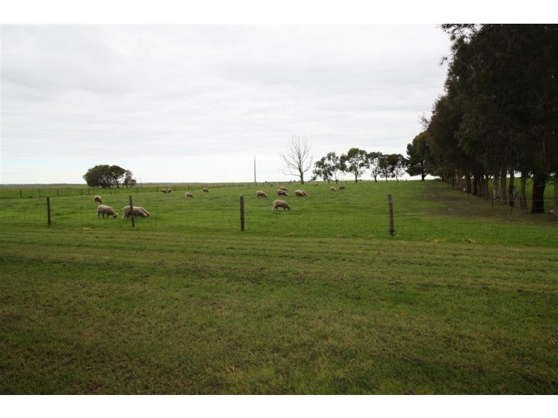 793 Lucindale Road, Naracoorte SA 5271
