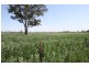 Lot 56* Pondham Road, Hynam SA 5262