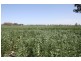 Lot 56* Pondham Road, Hynam SA 5262