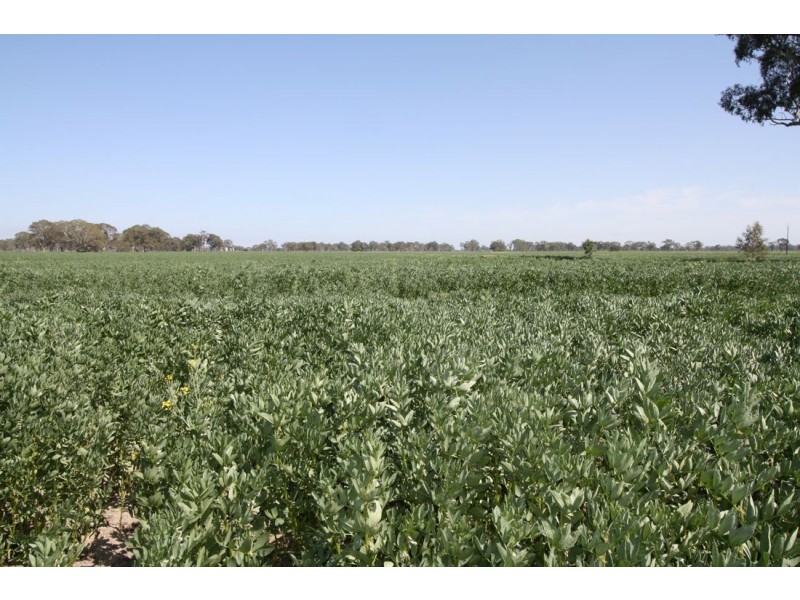 Lot 56* Pondham Road, Hynam SA 5262