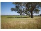 Lot 56* Pondham Road, Hynam SA 5262