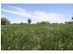 Lot 56* Pondham Road, Hynam SA 5262