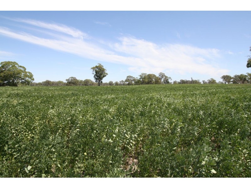 Lot 56* Pondham Road, Hynam SA 5262