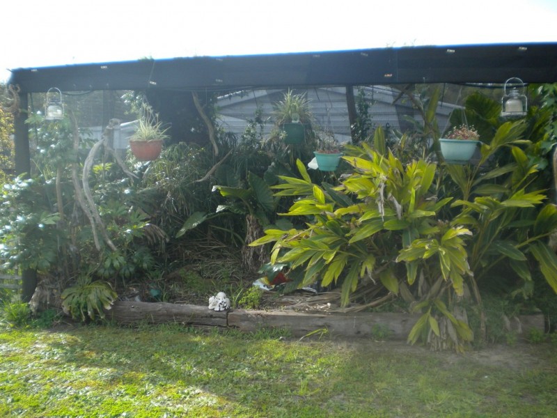 19 Brown Street, Mount Burr SA 5279