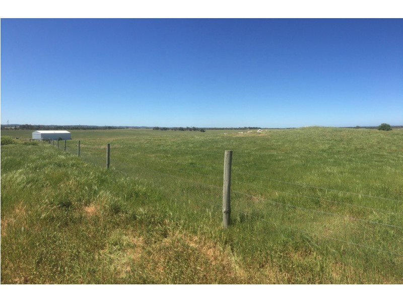 4454 Southern Ports Highway, Robe SA 5276