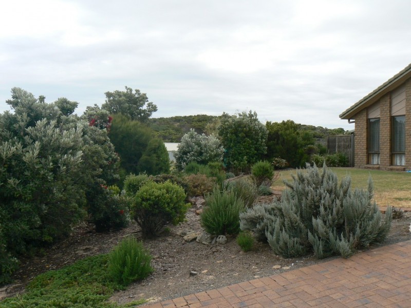 16 Arthur Street, Beachport SA 5280