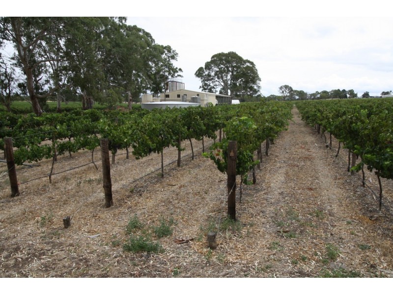 00 Carters Rd, Naracoorte SA 5271