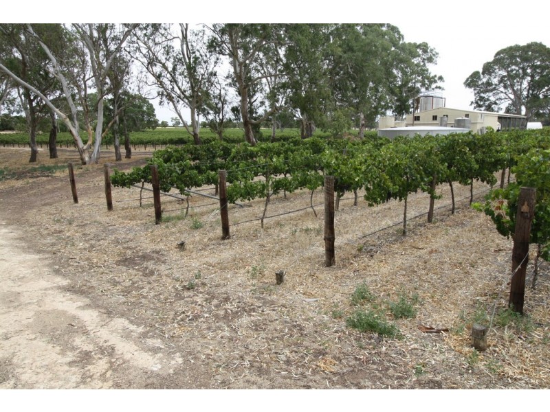 00 Carters Rd, Naracoorte SA 5271