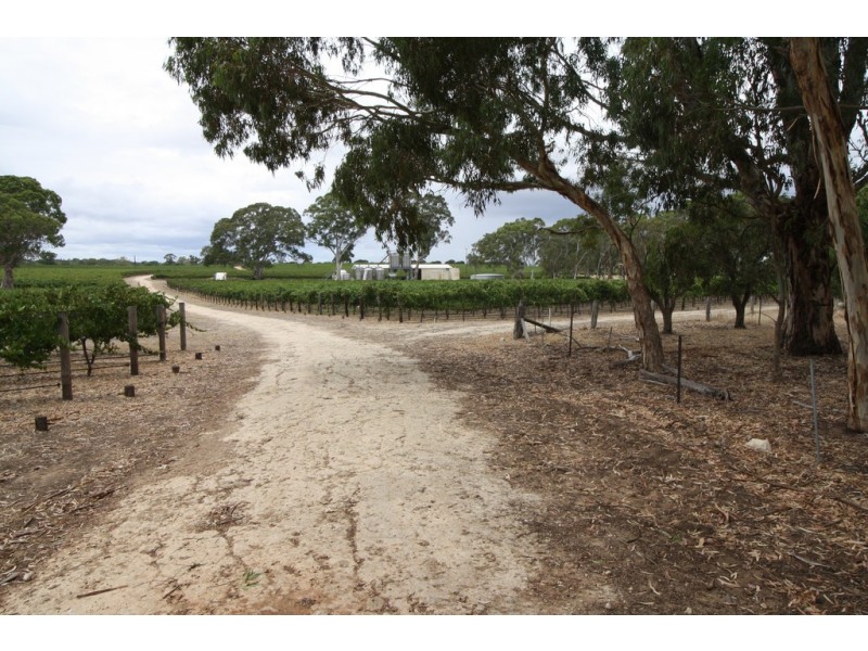 00 Carters Rd, Naracoorte SA 5271