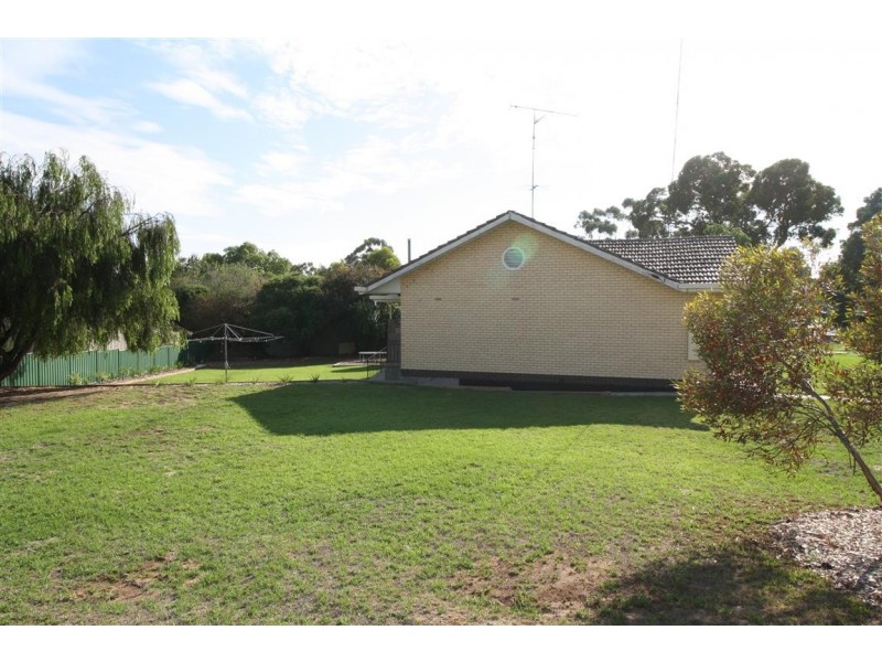 56 Jenkins Terrace, Naracoorte SA 5271